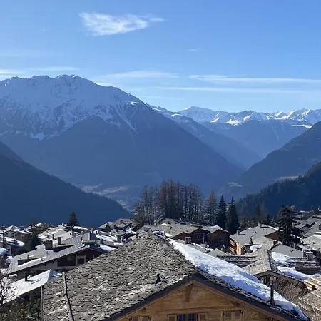 Alpehytte Armillaires